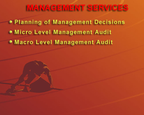 The Management Services