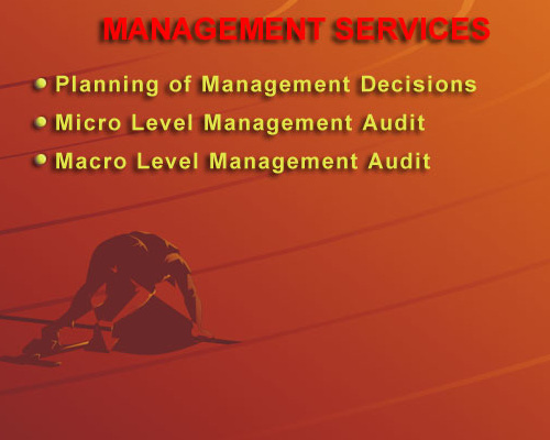The Management Services